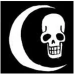 Bandeira pirata — Gally Pirates